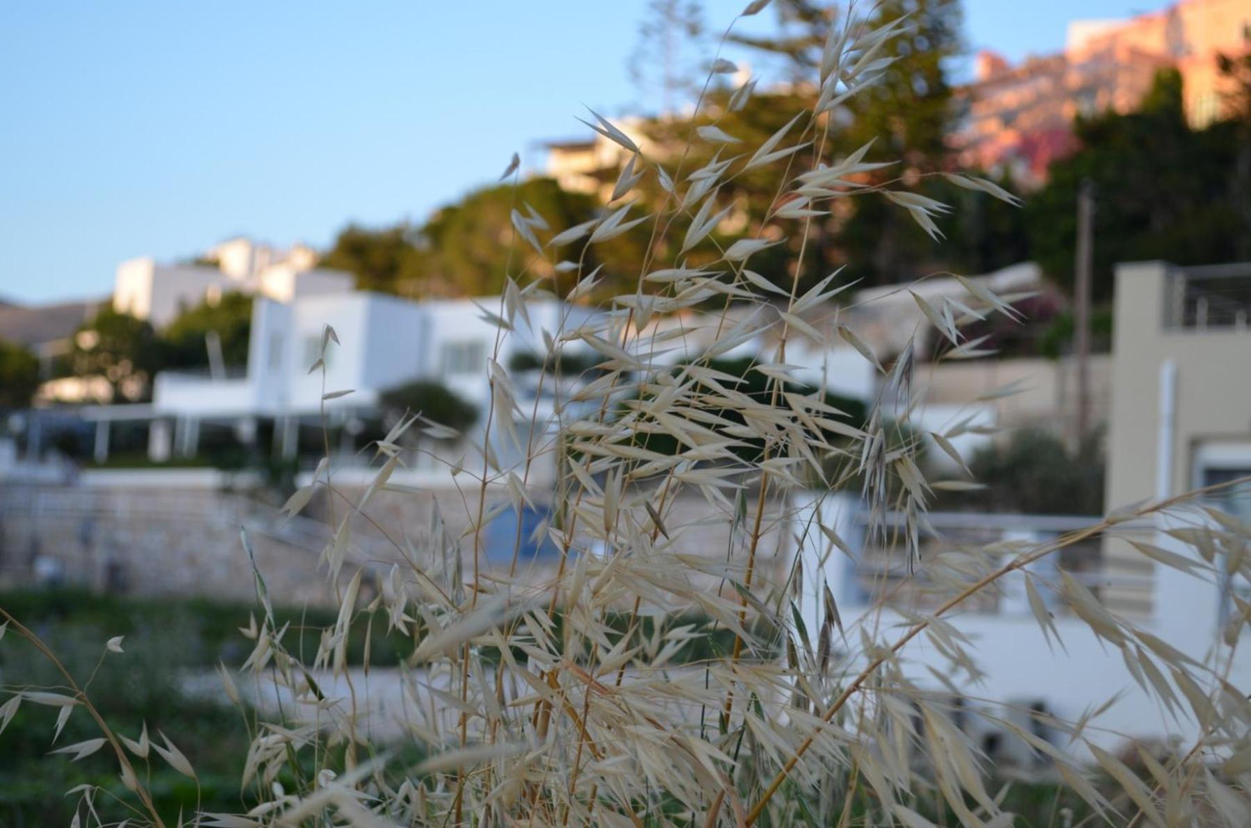 White Lotus Seaside Apartment Кинион Экстерьер фото